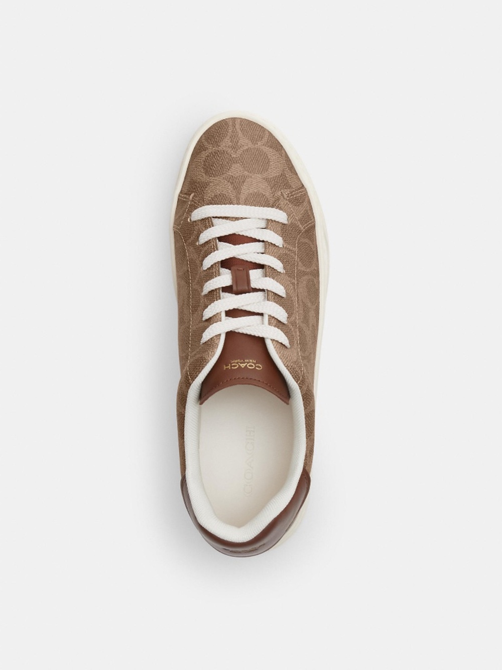 High Line Sneaker In Signature Canvas